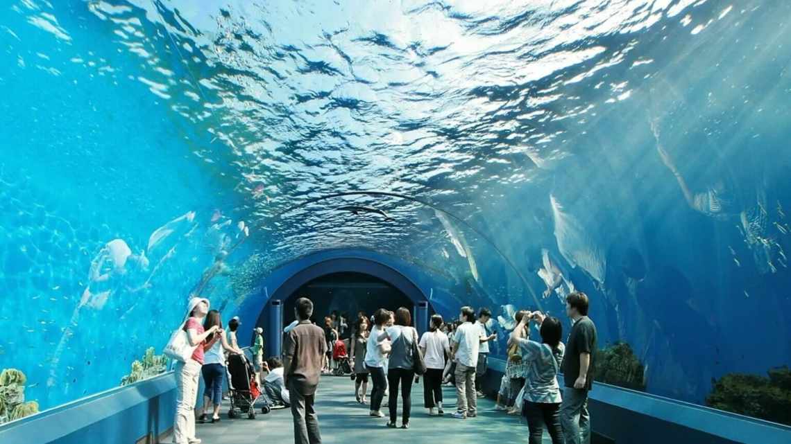 Шанхайский аквариум