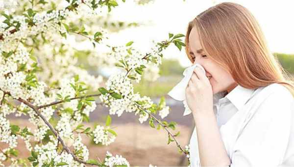 Сезон аллергии начинается все раньше с каждым годом из-за изменения климата